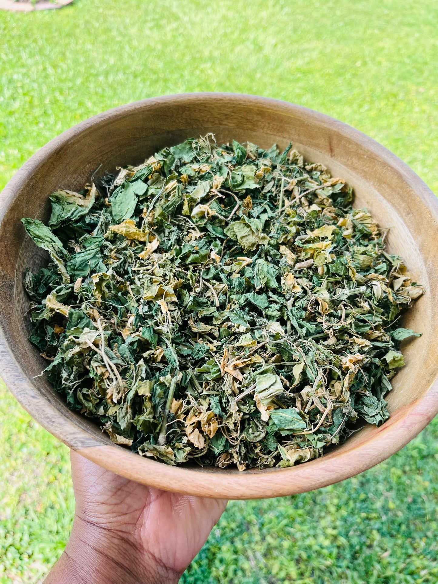 DOG BLOOD BUSH